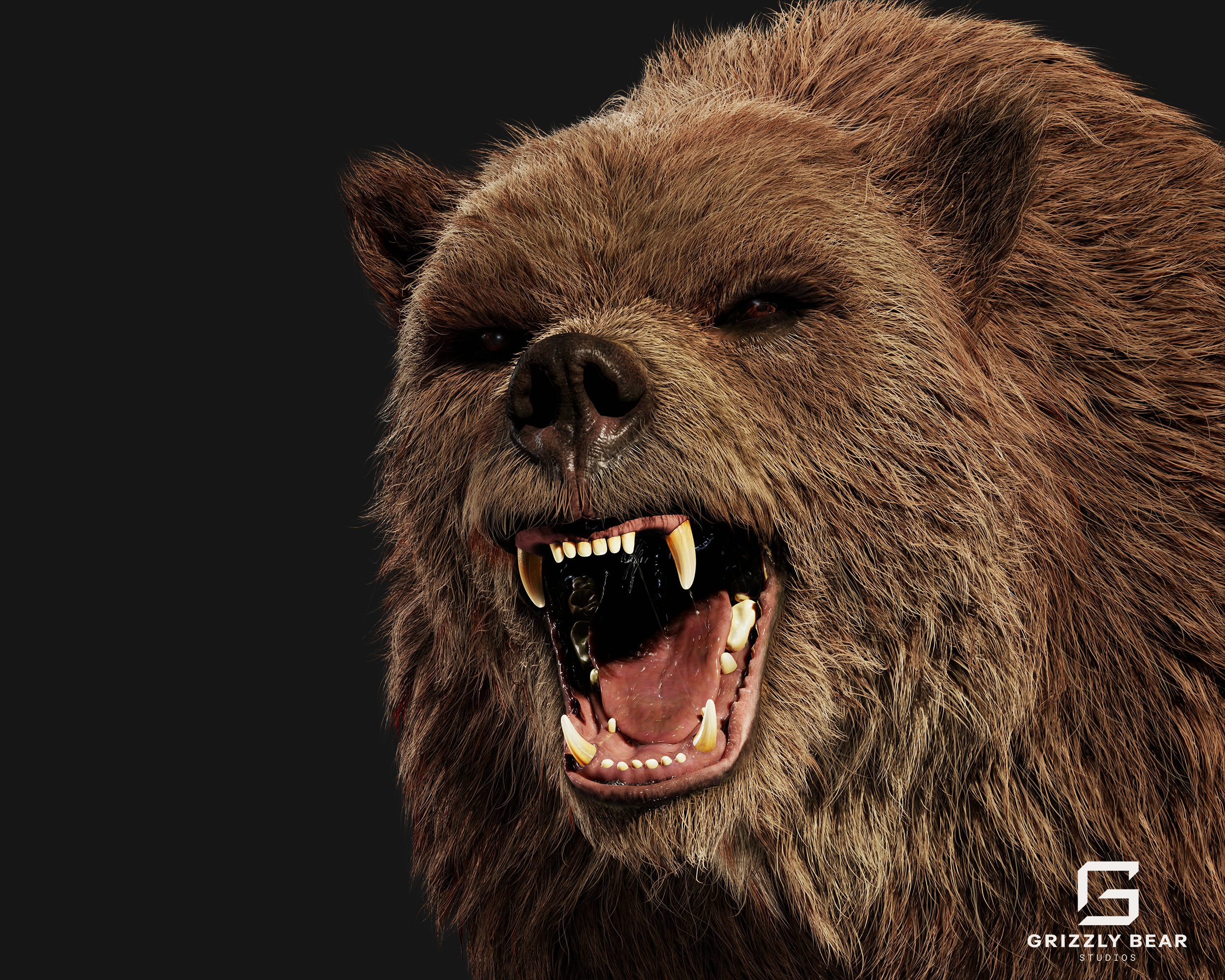 Grizzly bear fur groom, three-quarter view